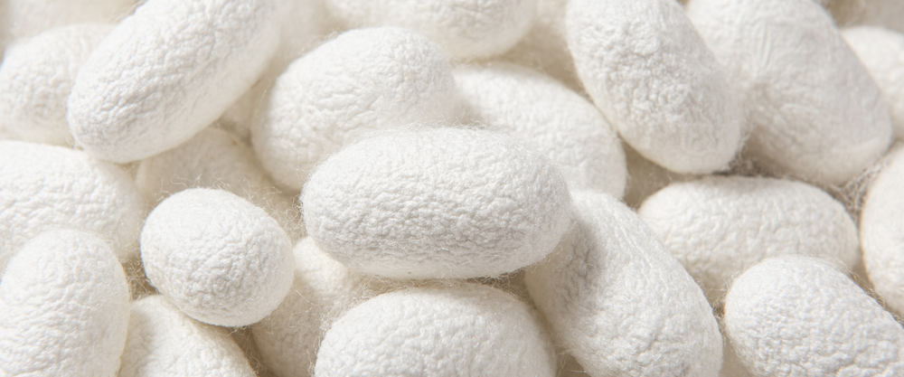 The Allure of Silk: A Comprehensive Guide to Different Types of Silk F